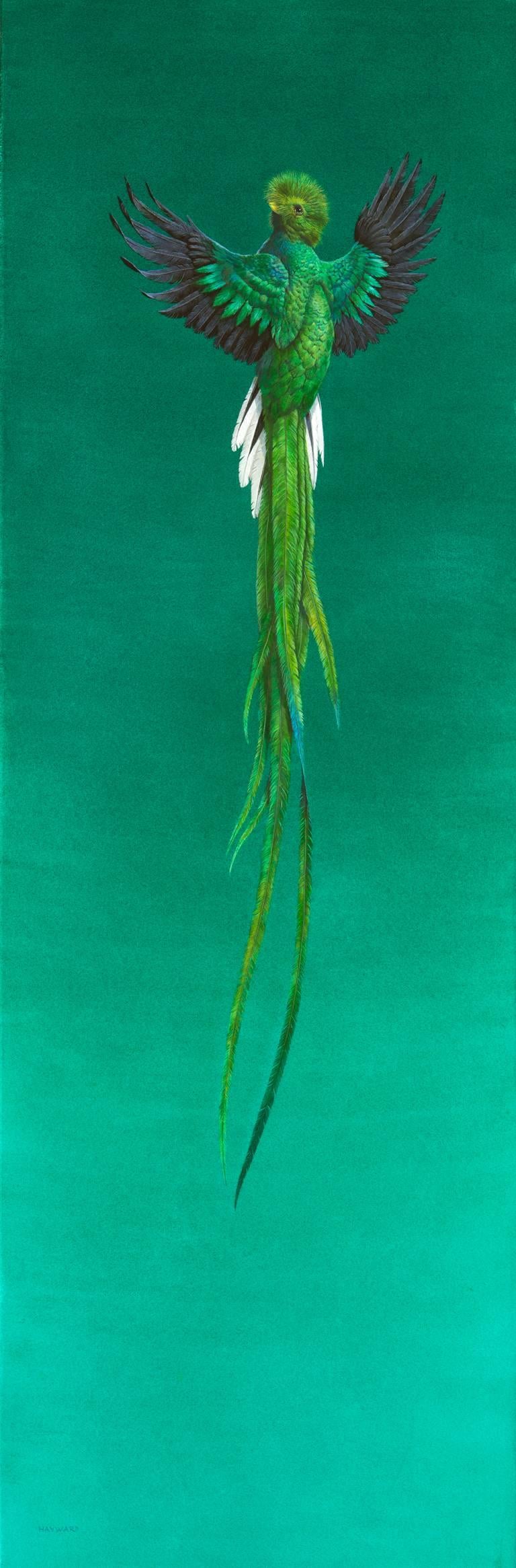 Tim Hayward Figurative Painting – Soar - Green