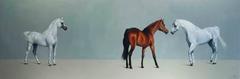 Arabian Mare & Stallions