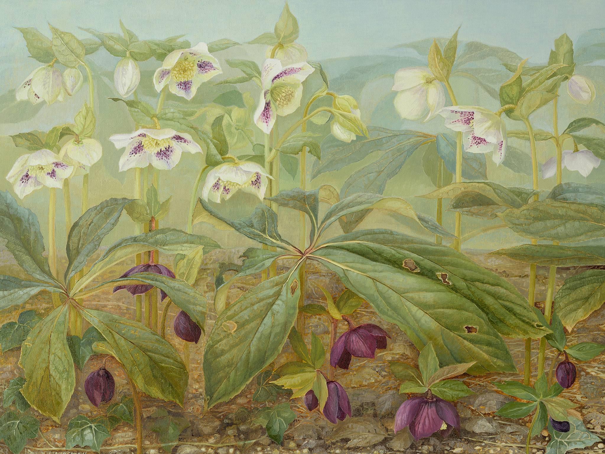 Jane Wormell Landscape Painting - Hellebores