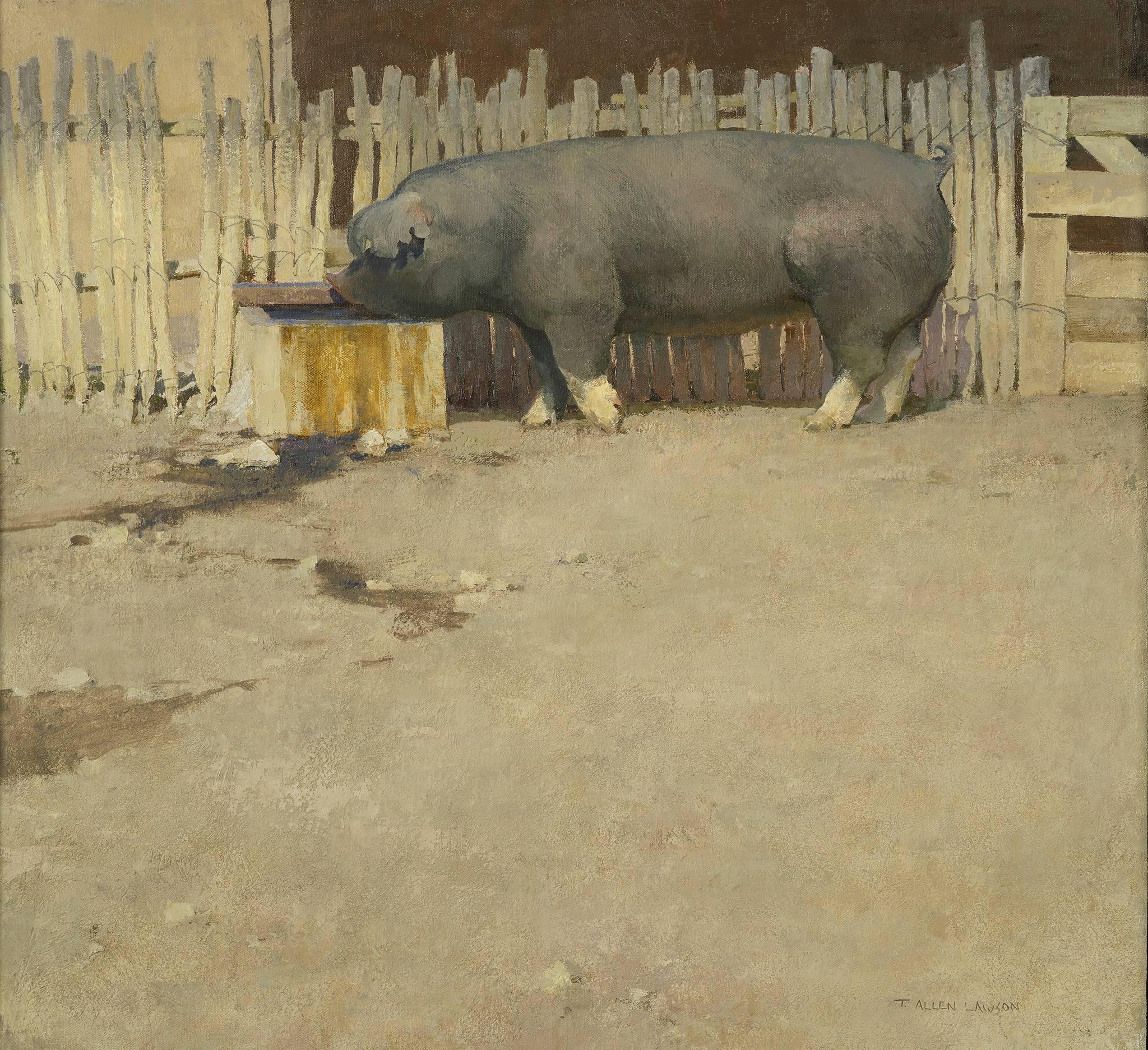 Tim Allen Lawson Animal Painting - Pig