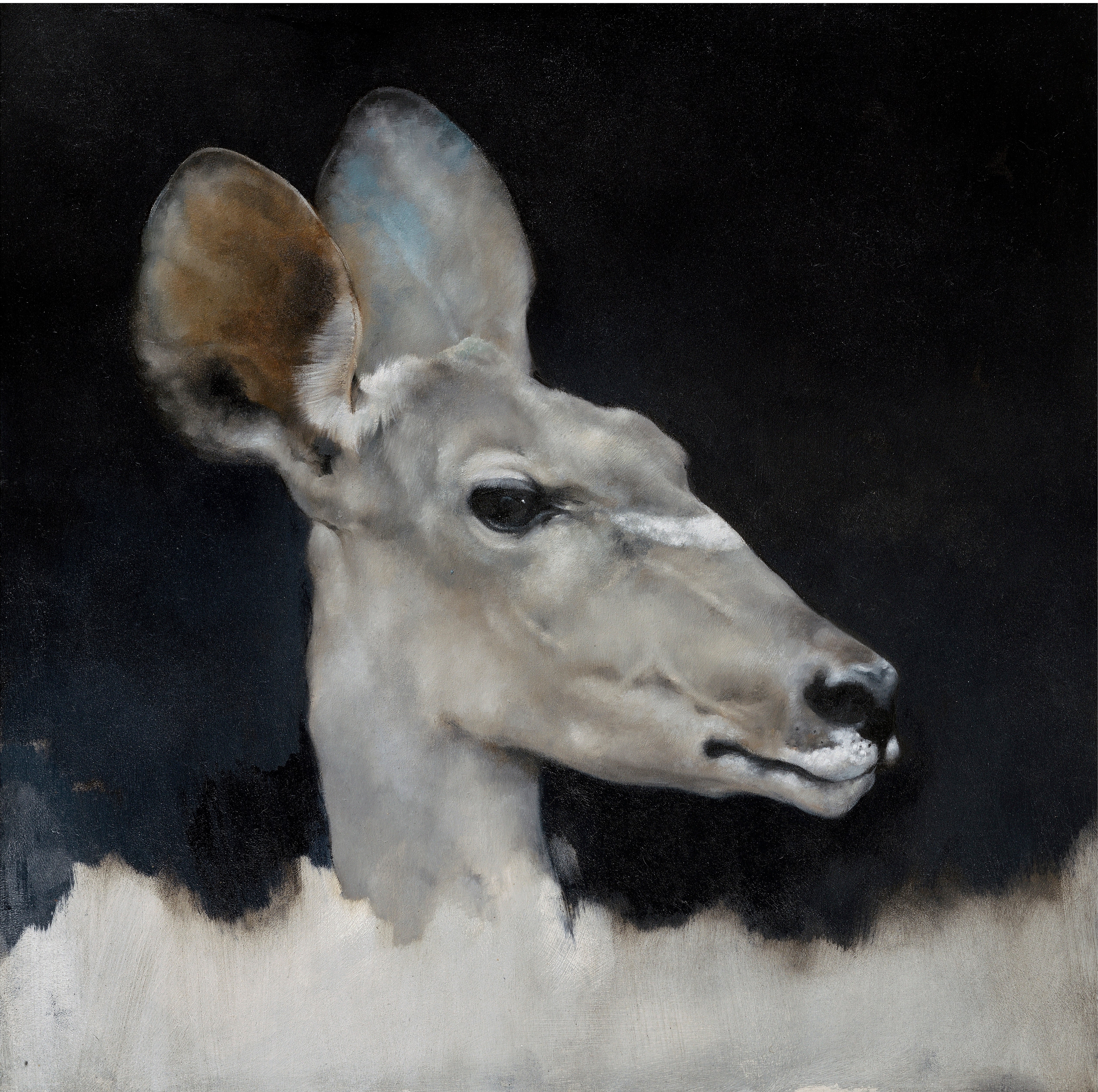 Justin Coburn Antelope Head Study For Sale At 1stdibs