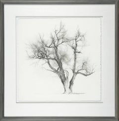 Study - Evening Tree