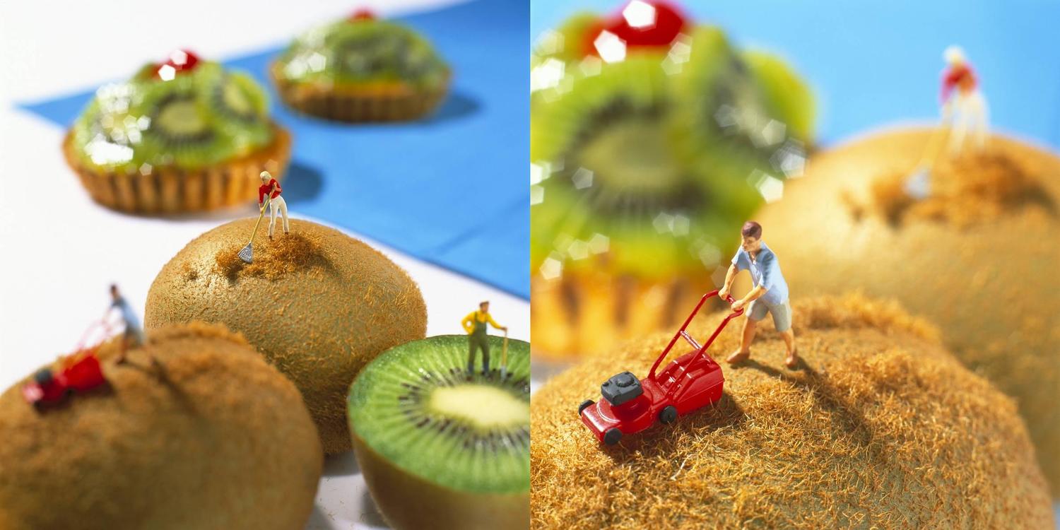 food landscape photography ideas at home