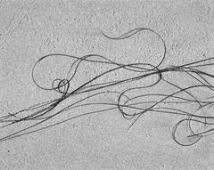 Sea Etching #64 12
