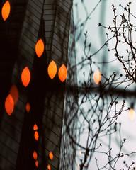 The Bubble (Park Ave 2) 3