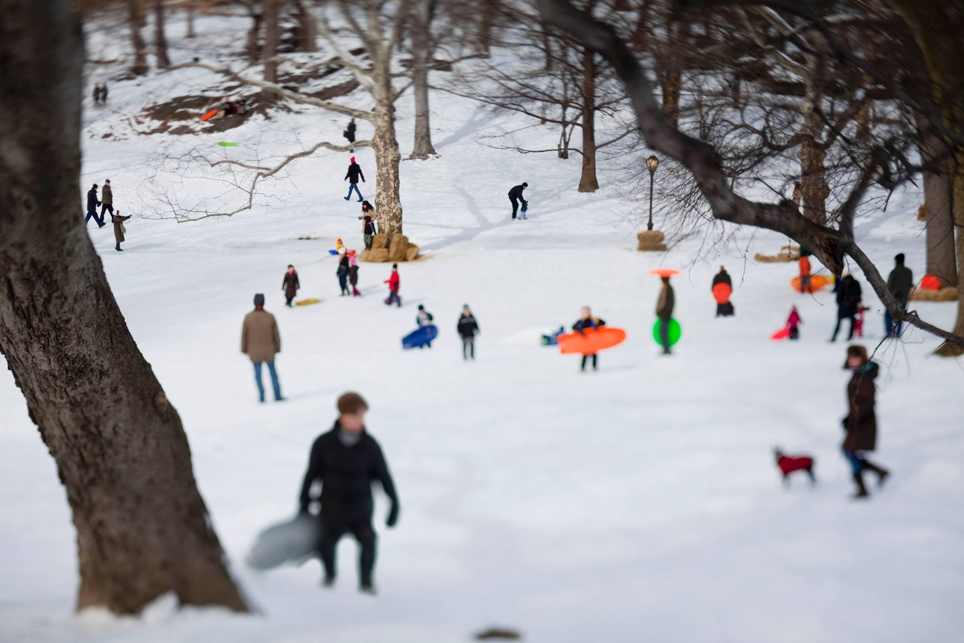 Susan Wides Color Photograph - Central Park (February 12-13, 2010)