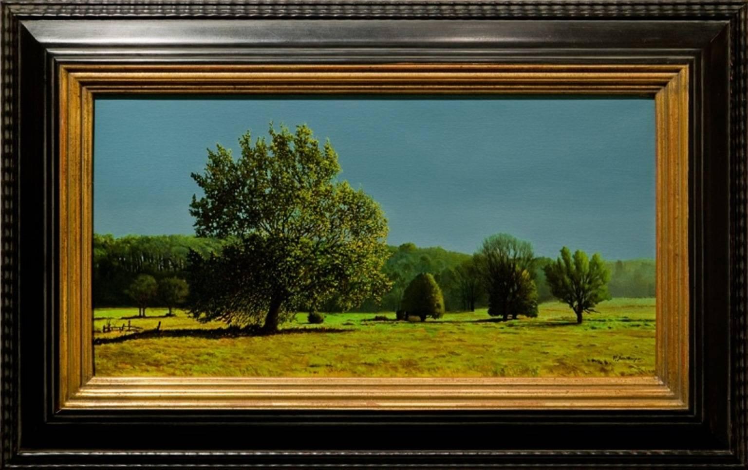 Peter Sculthorpe Landscape Painting - "Doe Run Valley"