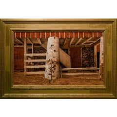 "The McCoy Barn" 6