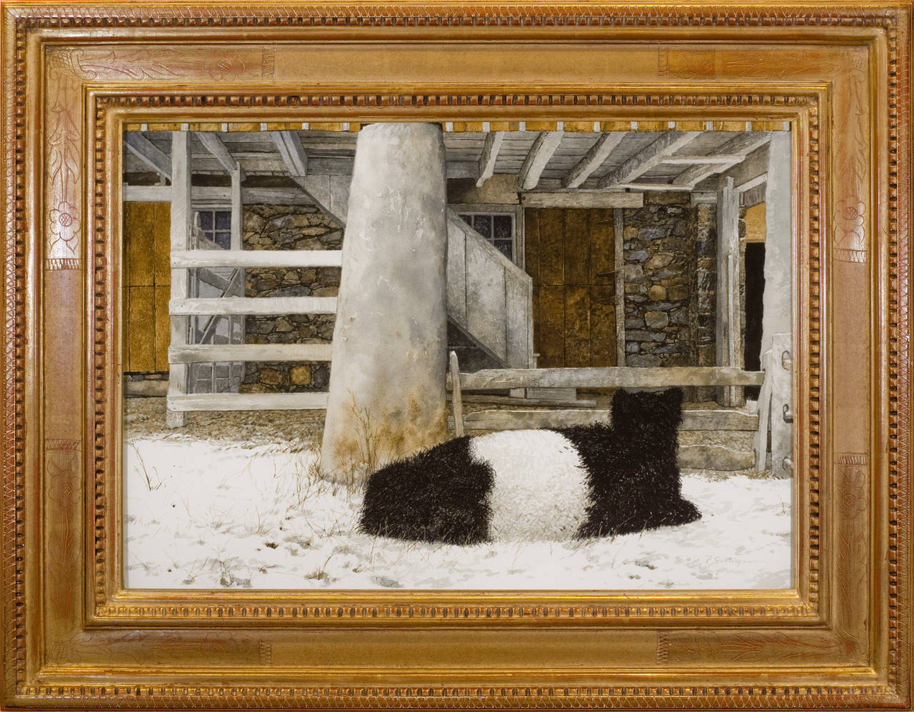 Peter Sculthorpe Animal Art - "Belted Galloway Calf"