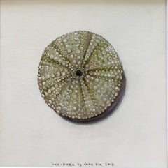 Sea Urchin / acrylic and ink framed in walnut