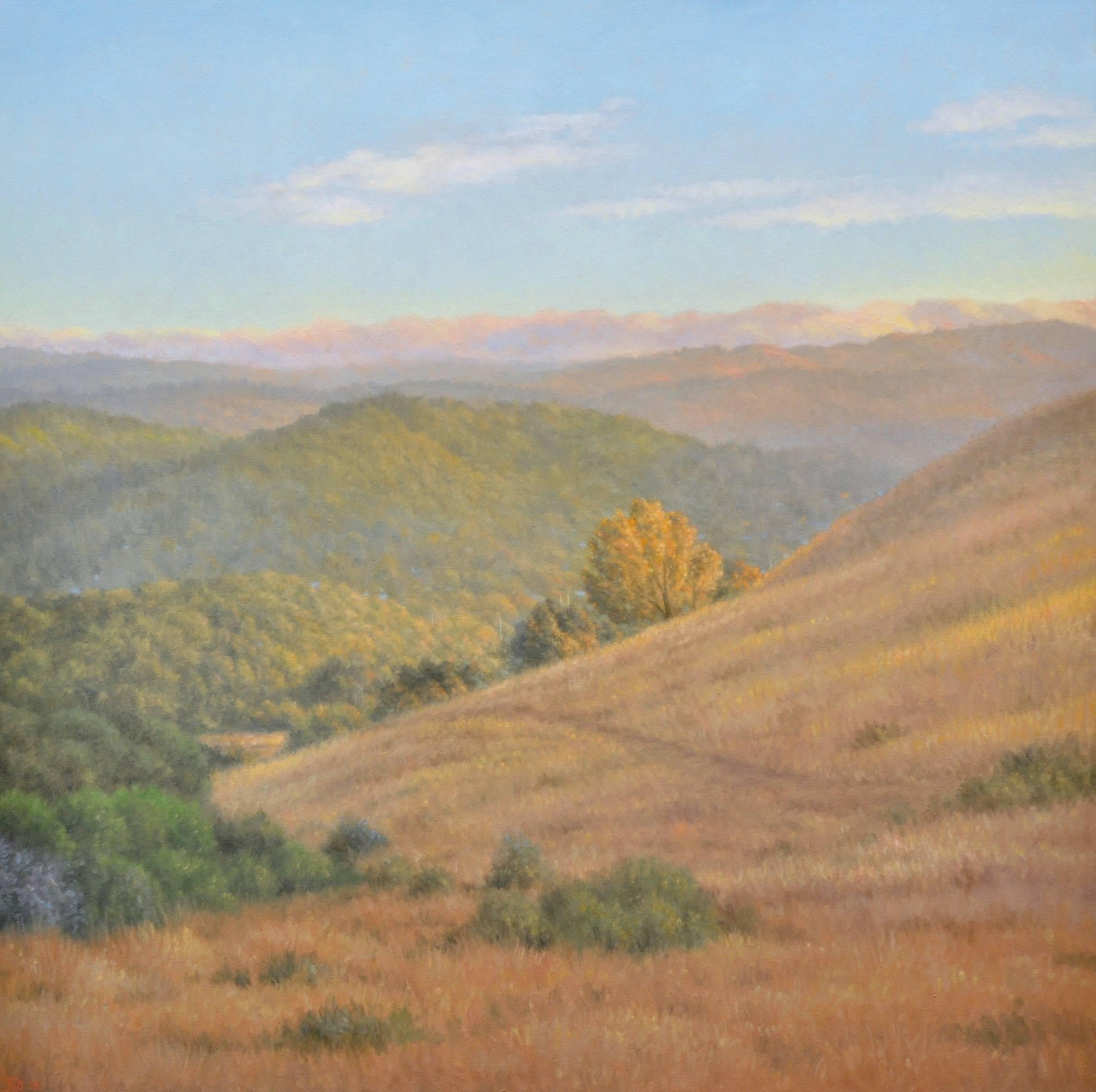 Willard Dixon Landscape Painting - THE RIDGE: EVENING / contemporary - warm rolling California hills - 4'  square