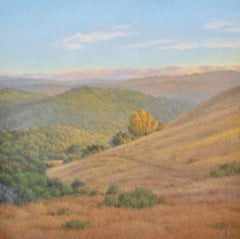 THE RIDGE: EVENING / contemporary - warm rolling California hills - 4'  square