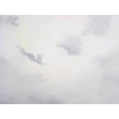 Atmos / 72 x 96 inches — SALE 10
