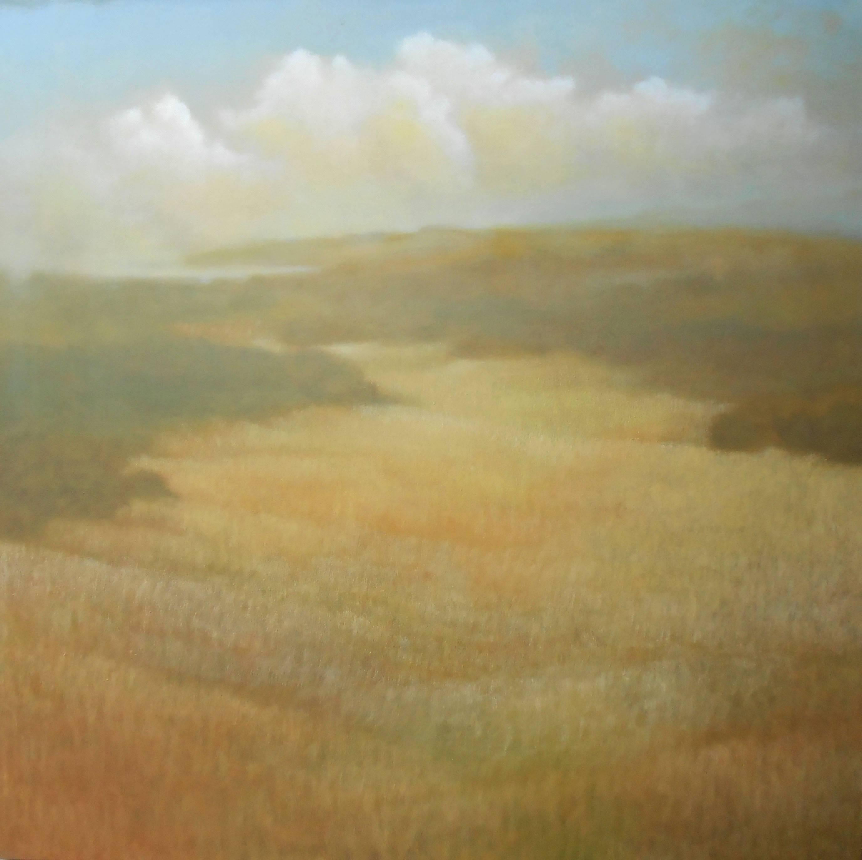 Donna McGinnis Landscape Painting - Sonoma