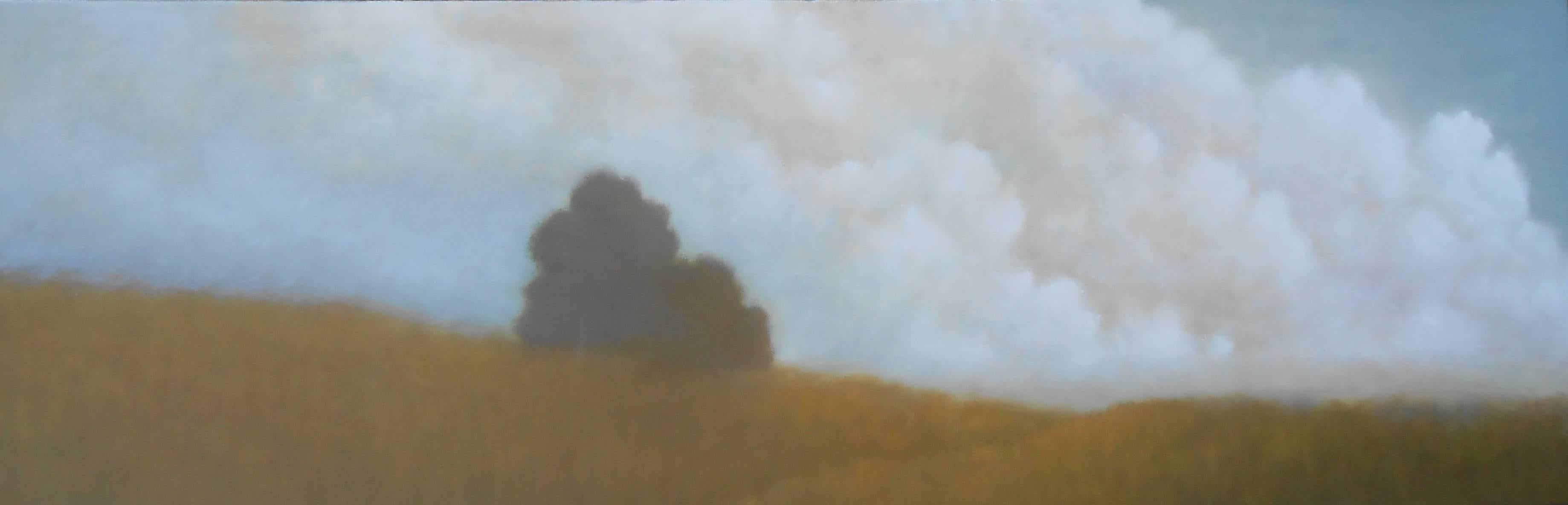 Donna McGinnis Landscape Painting - Cloud View
