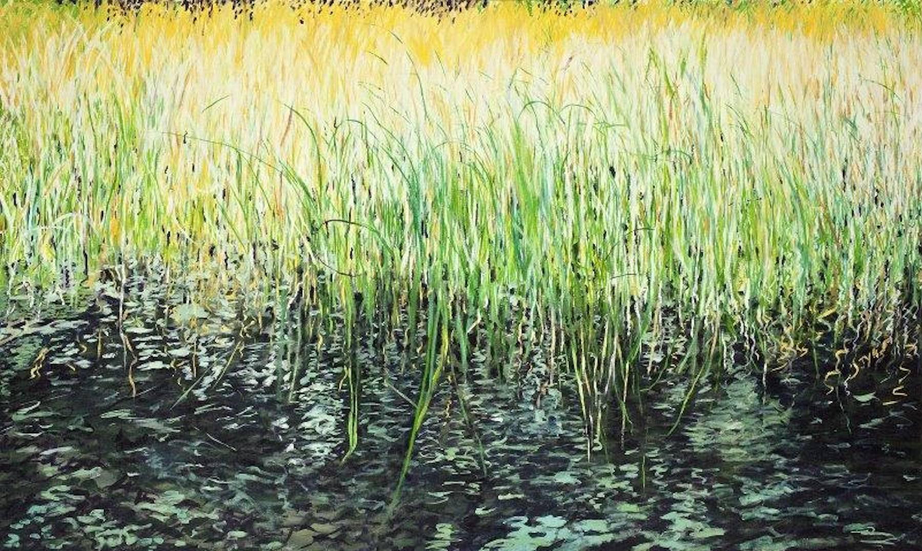 Reeds and Grass