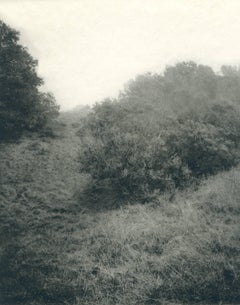 Landscape Fairfax / photogravure