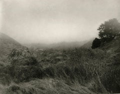 Tennessee Valley