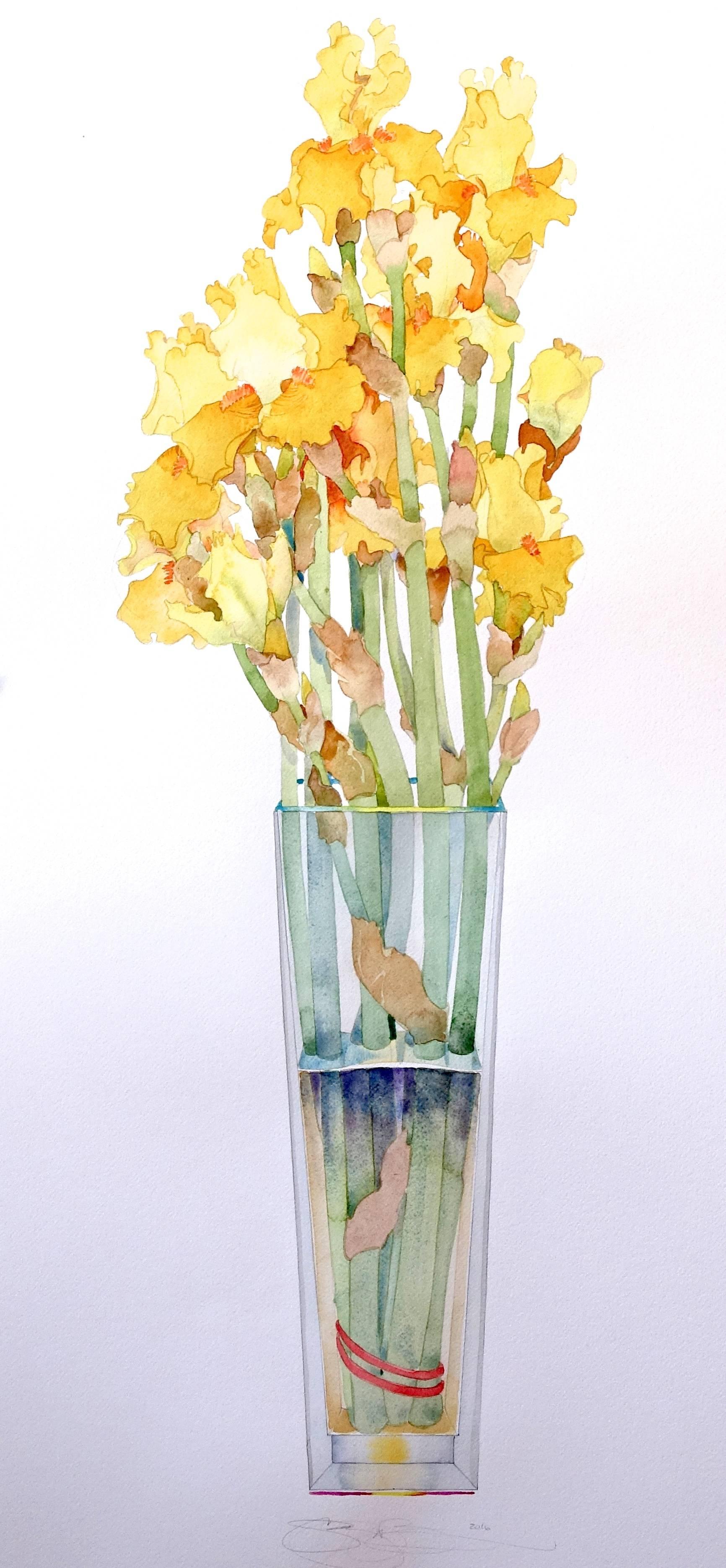 Yellow Iris in Tall Vase / watercolor 