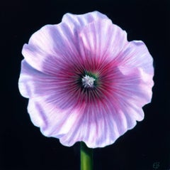 A Hollyhock for O'Keeffe / oil painting