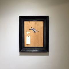 Cedar Waxwing Bombycilla cedrorum