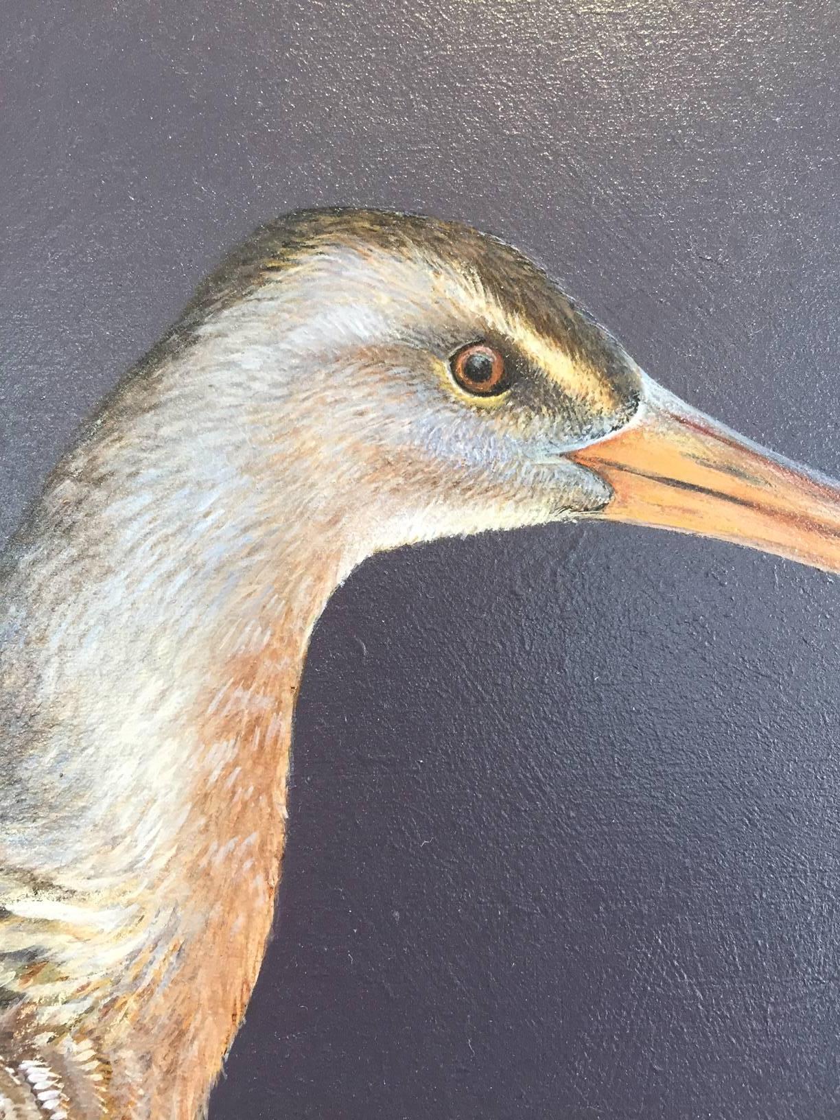 A Rare Specimen: California Clapper Rail - Painting by Jane Kim