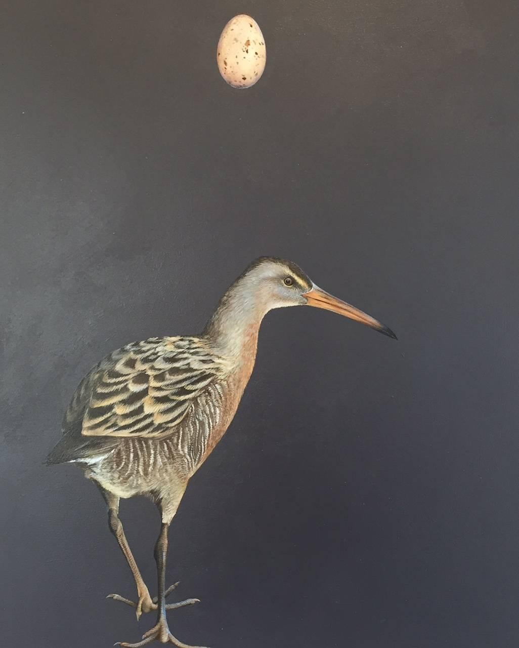 A Rare Specimen: California Clapper Rail 1