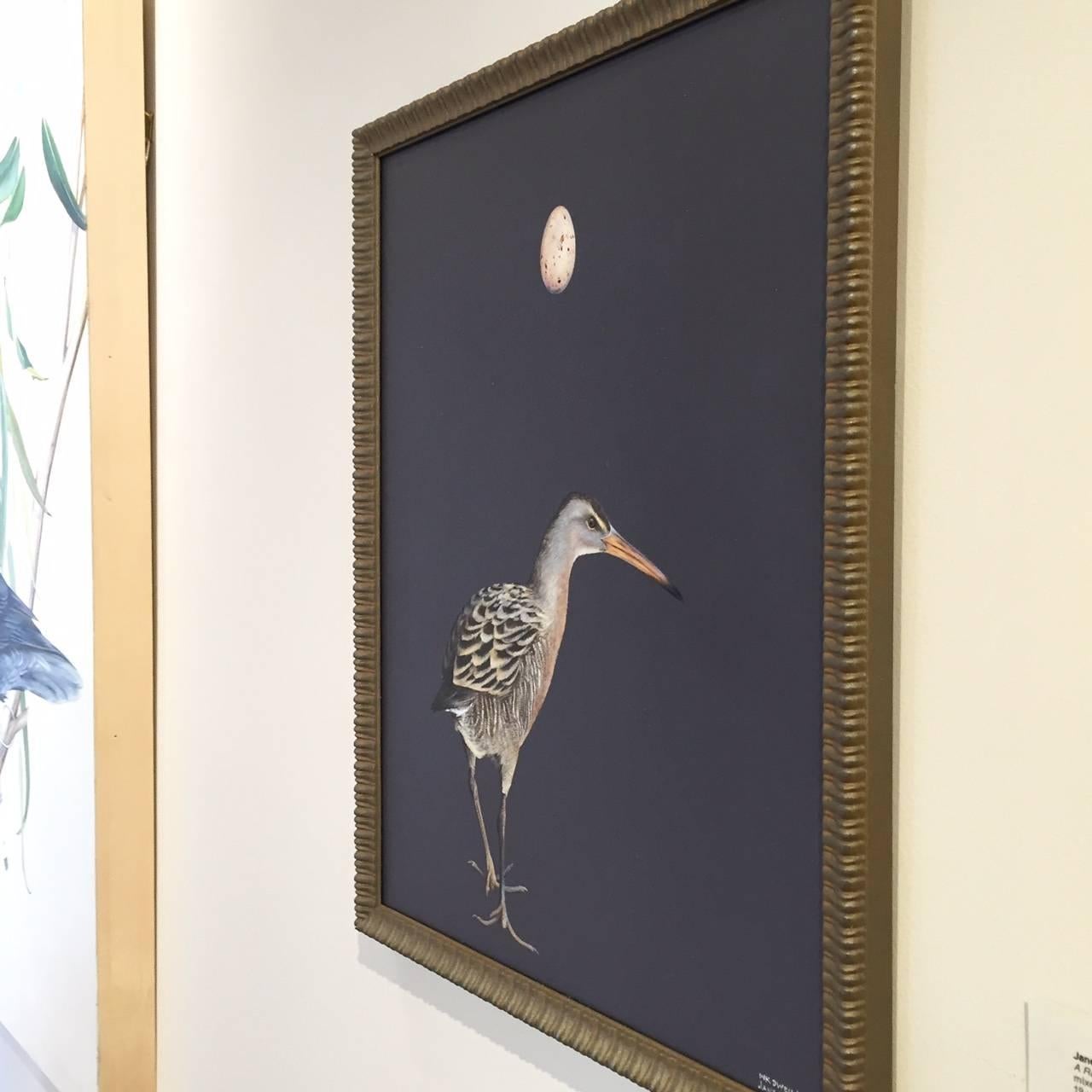 A Rare Specimen: California Clapper Rail - Gray Animal Painting by Jane Kim