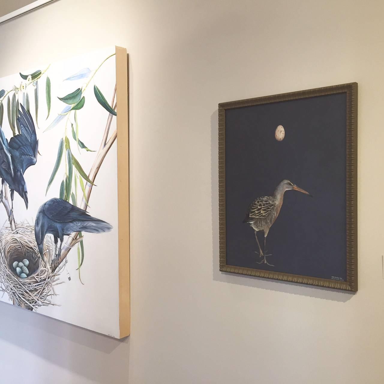 Contemporary Audibon inspired bird painting of a California Clapper Rail, by one of the nations most sought after and in demand contemporary conservation / preservation artists, Jane Kim, who inspires people to love and protect the Earth one work of