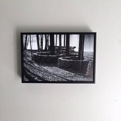 Wall: Andy Goldsworthy