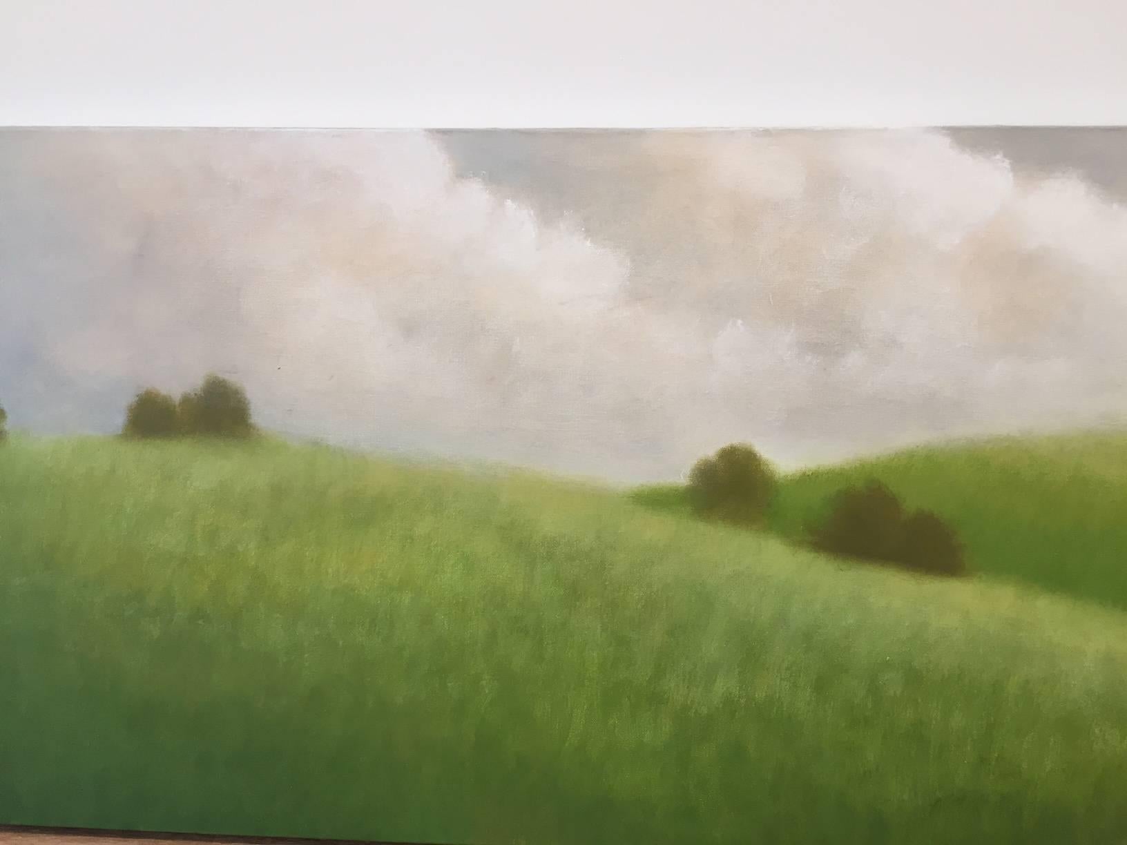 Paisaje imaginado que tiende un puente entre el realismo y el paisaje onírico. Suaves colinas verdes ondulantes con nubes ondulantes caen en cascada sobre los óleos de McGinnis, que brillan con la luz y la calidez de la naturaleza. Artista firmado,