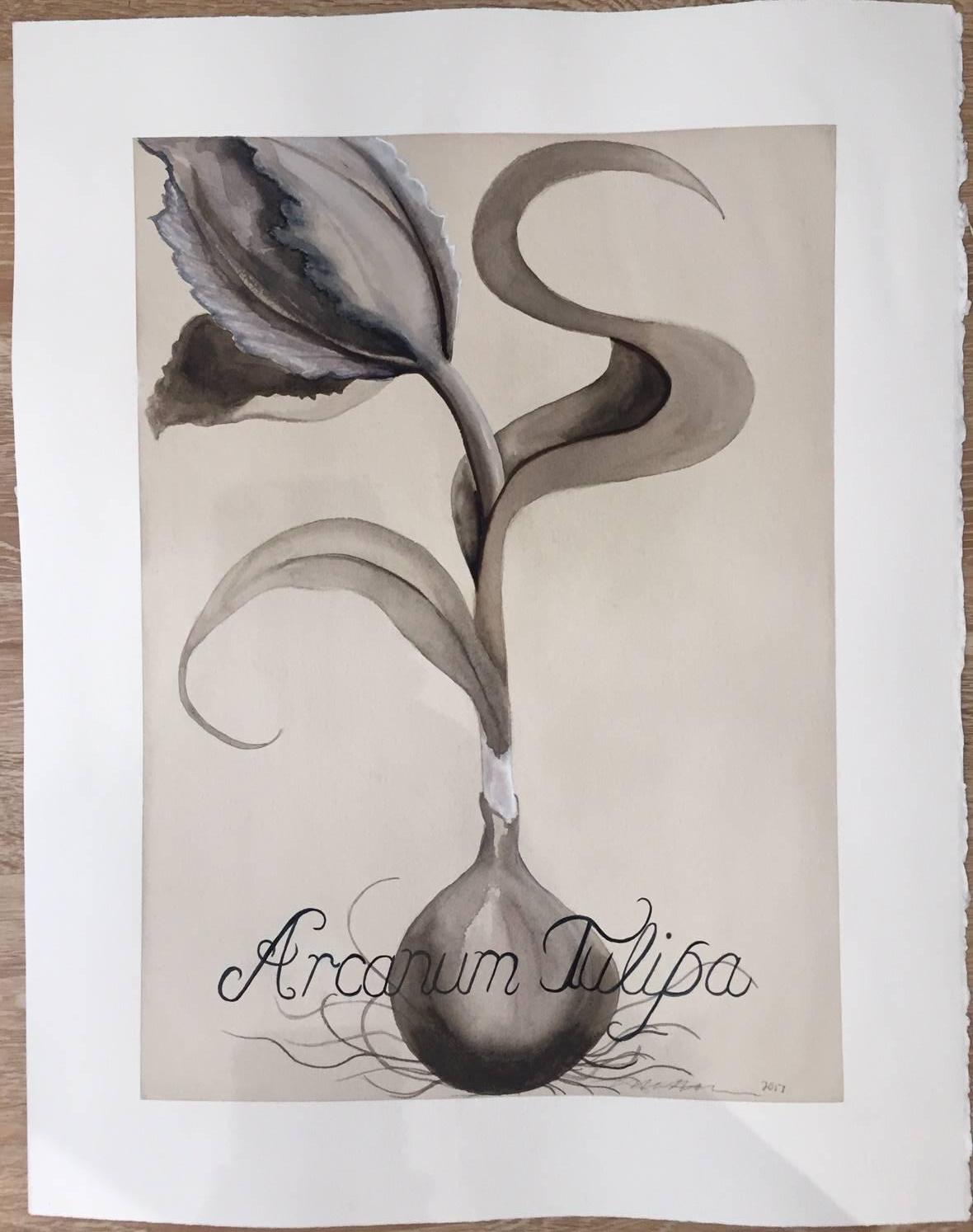 Mysterious Tulip - Naturalistic Art by Adrienne Sherman