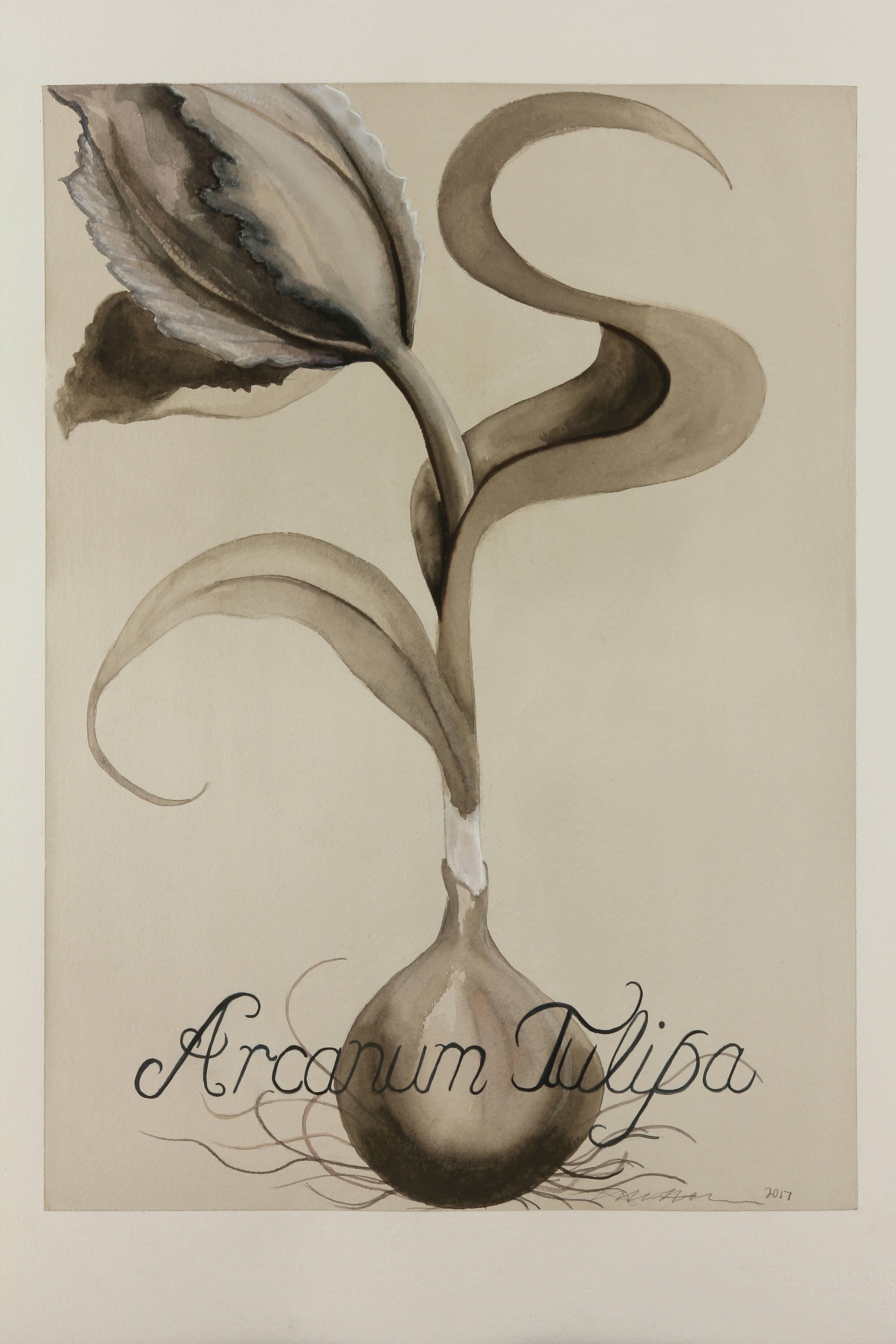Mysterious Tulip - Art by Adrienne Sherman