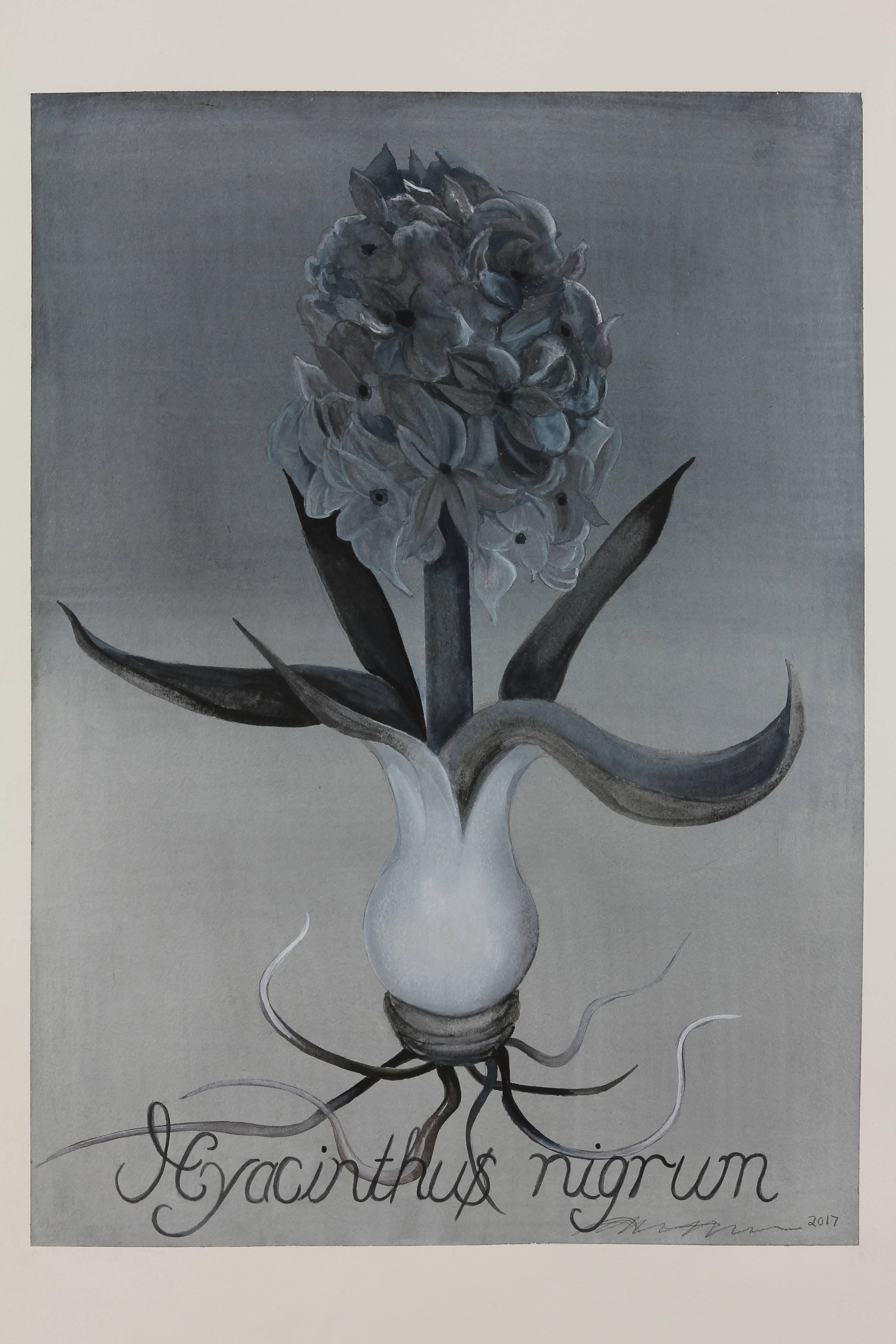 Black Hyacinth - Art by Adrienne Sherman