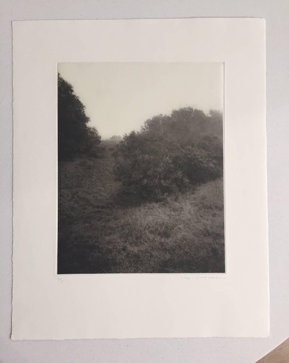 Landscape Fairfax / photogravure - Photograph by Unai San Martin