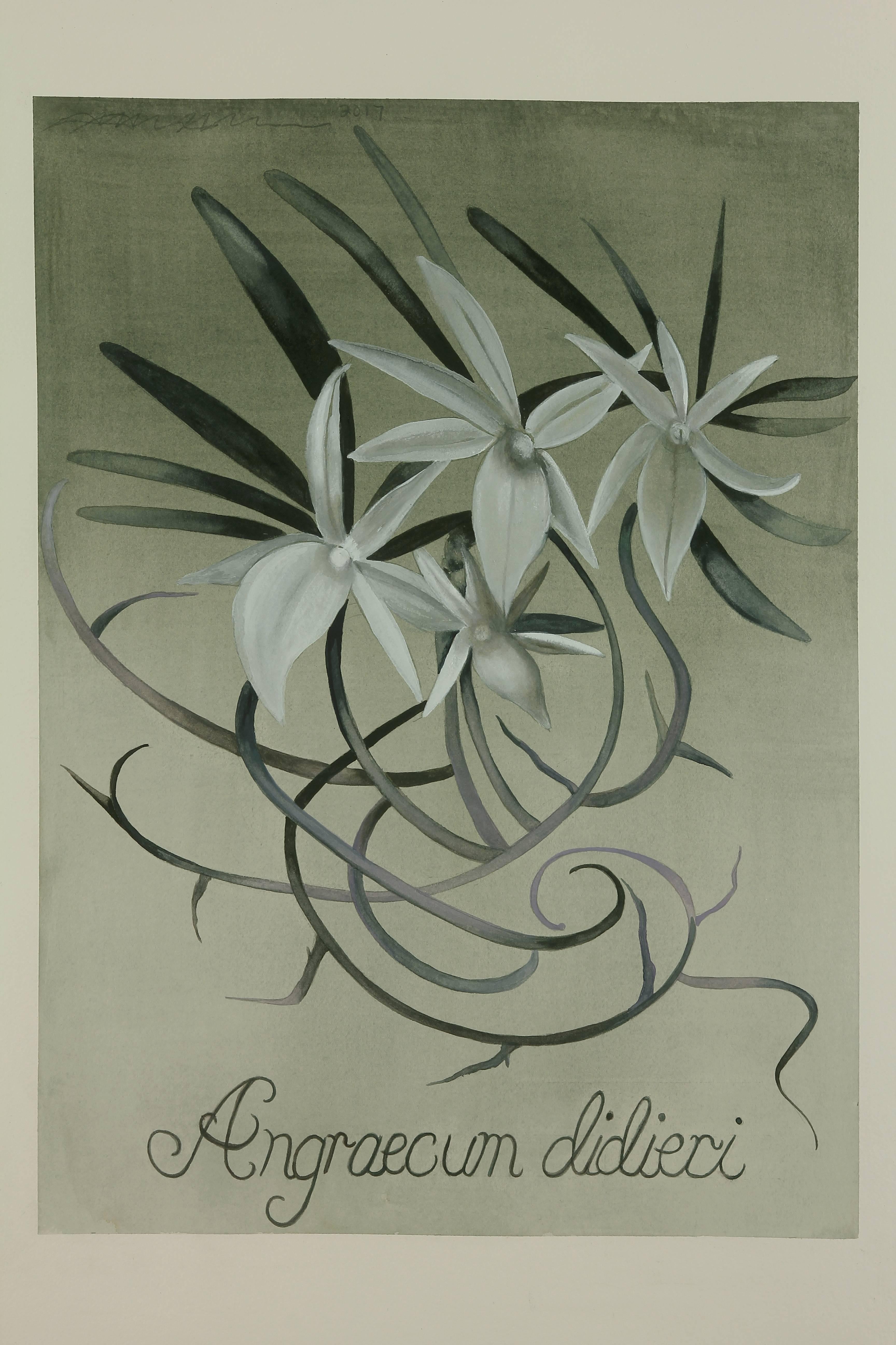White Emblem Orchid / botanical watercolor