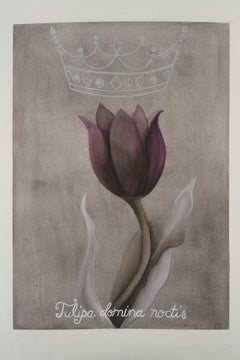 Königin der Nacht – Tulpen-/Baumwoll-Aquarell