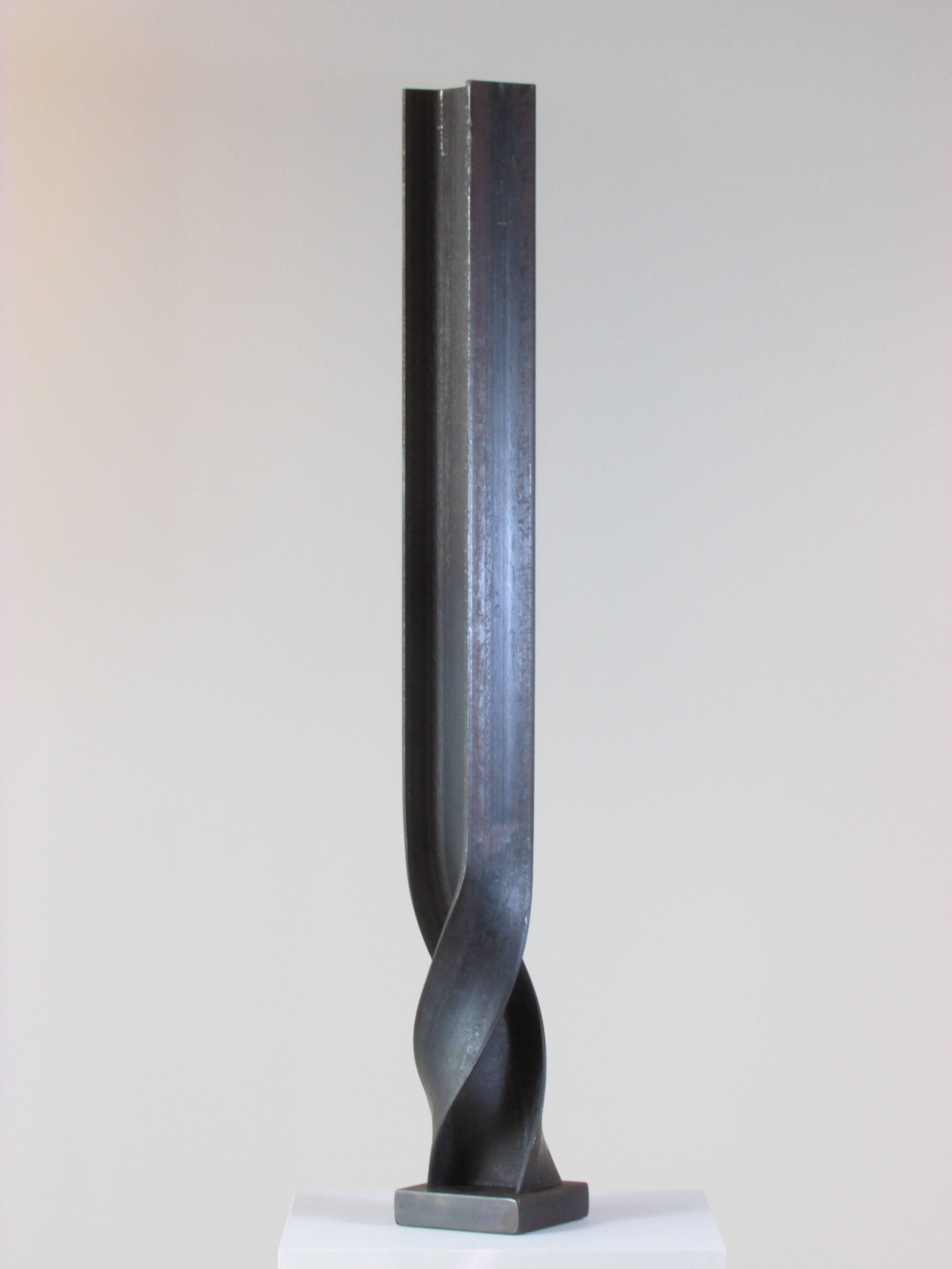 Edwin Salmon, "Chrometid Mutation III", 2016, Steel I Beam, 31.75" x 4" x 4"

"Chrometid Mutation III" is from Edwin Salmon's "Architectural Abstractions" series. Structural steel is the foundation from