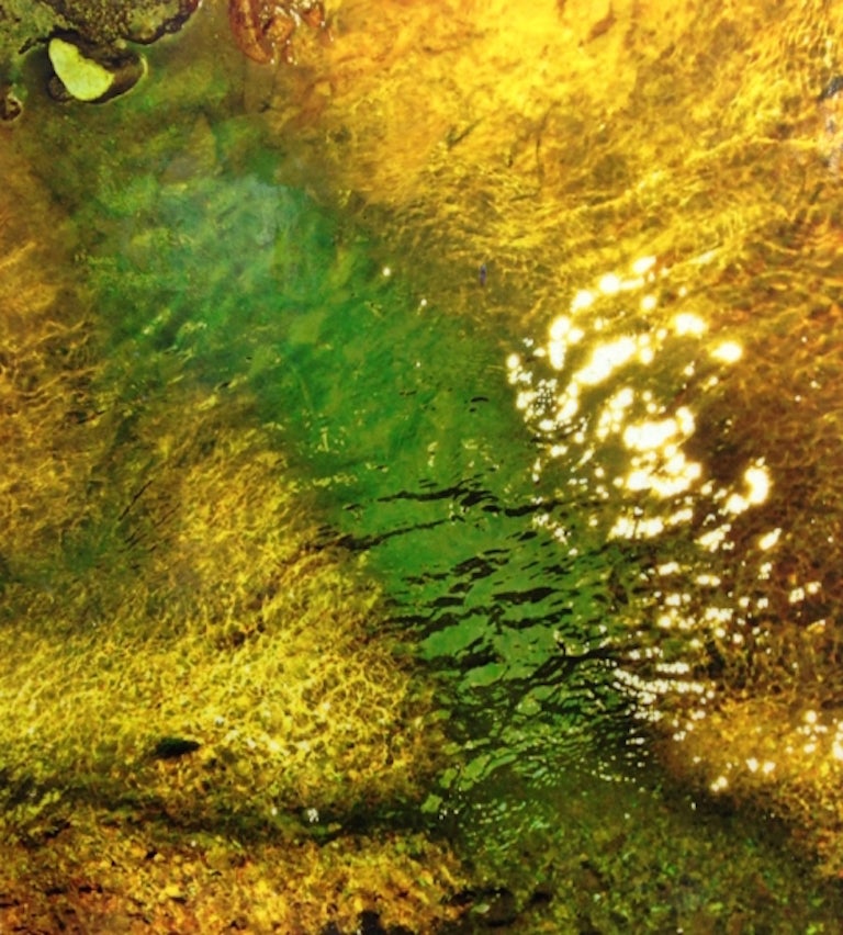 Carleen Sheehan Abstract Painting - Gold Sun Green
