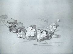 Study for Branch of Ivy (for Damocles) (Verso; Study for Damocles)