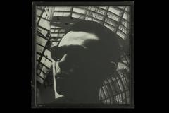 "The Old Greenhouse"