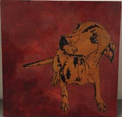 "Mexican Street Dog"