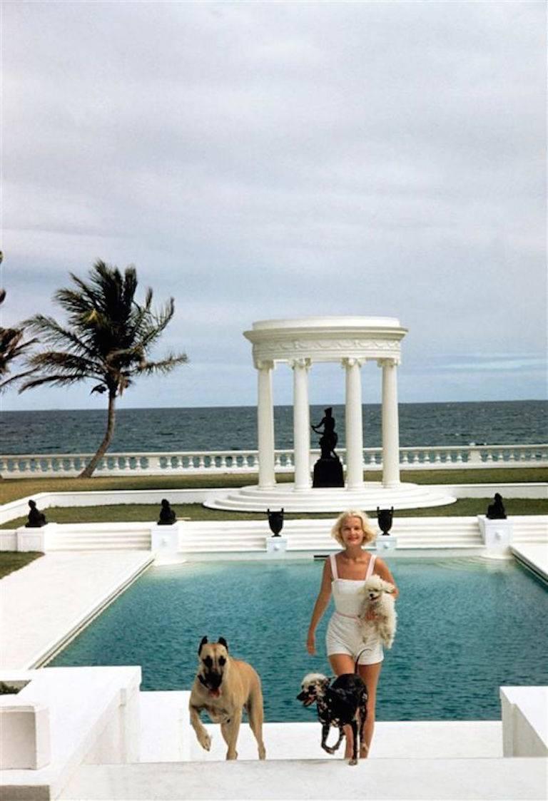 Slim Aarons Figurative Photograph - 'CZ’s Dogs' Palm Beach (Estate Stamped Edition)