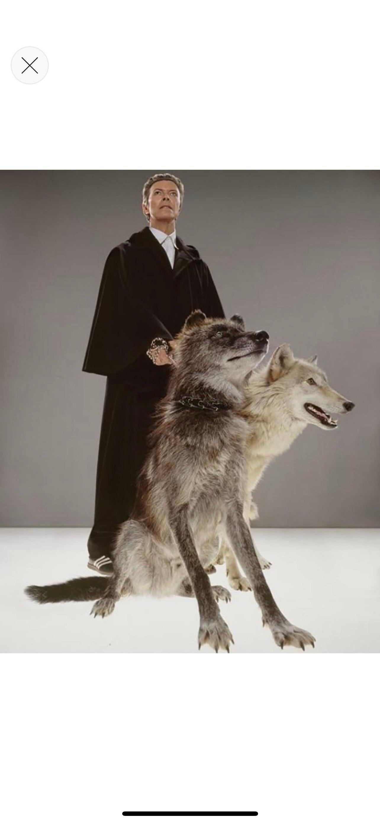 The Pack

Photo by Markus Klinko 

Limited Estate Edition

David Bowie with a pair of wolves

C Print
Produced from the original transparency
Certificate of authenticity supplied 
Paper size 20×24 inches/ 51 x 61 cm
Printed 2020

Edition sizes are
