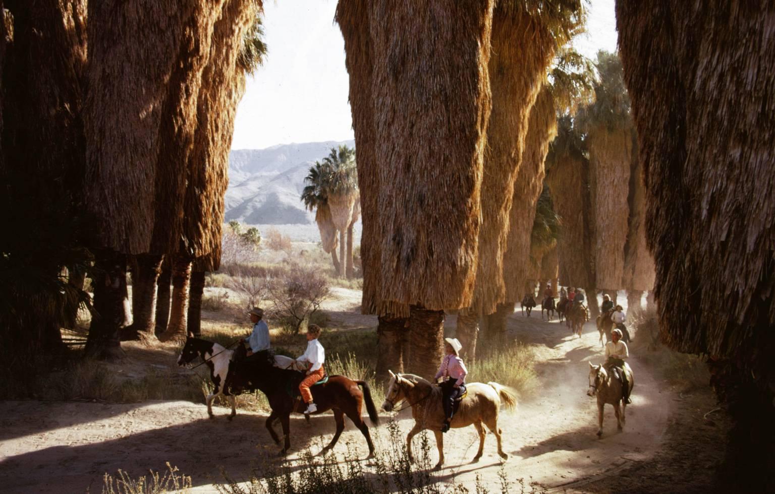 'Early Riders' by Slim Aarons

Former mayor Frank Bogert leads an early-morning ride through Andreas Canyon in Palm Springs, southern California, January 1970. Frank Bogert and his elegantly dressed companions enjoy an early morning horse ride