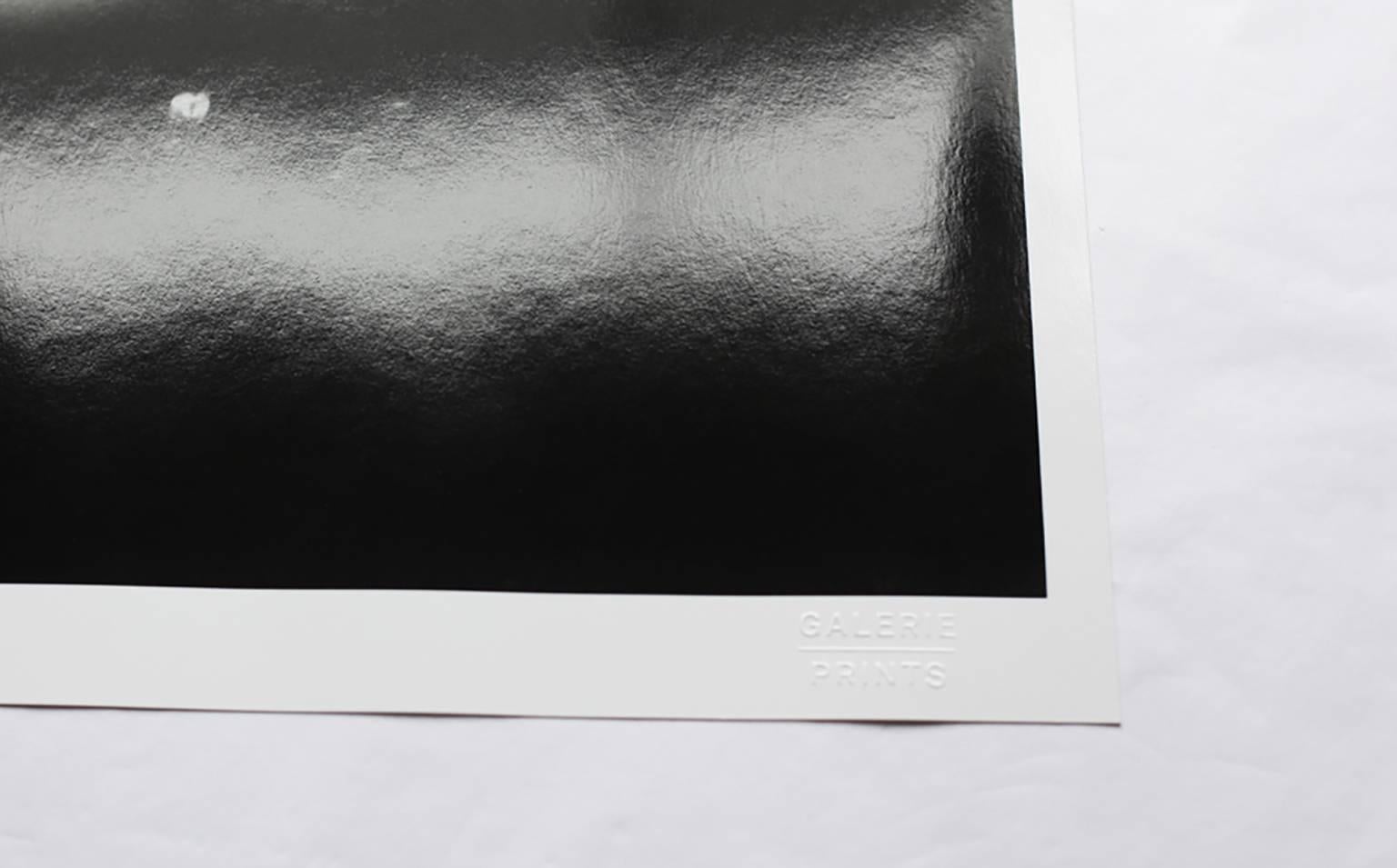 'Black Tree' Limited Edition Fibre print - Photograph by Stuart Möller