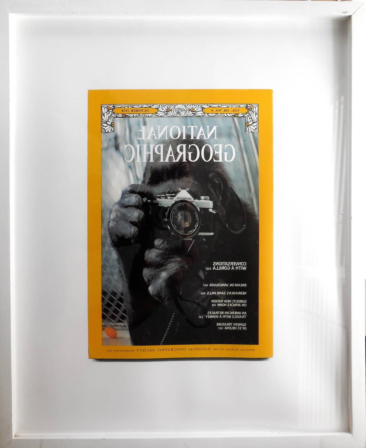 Who's looking at who