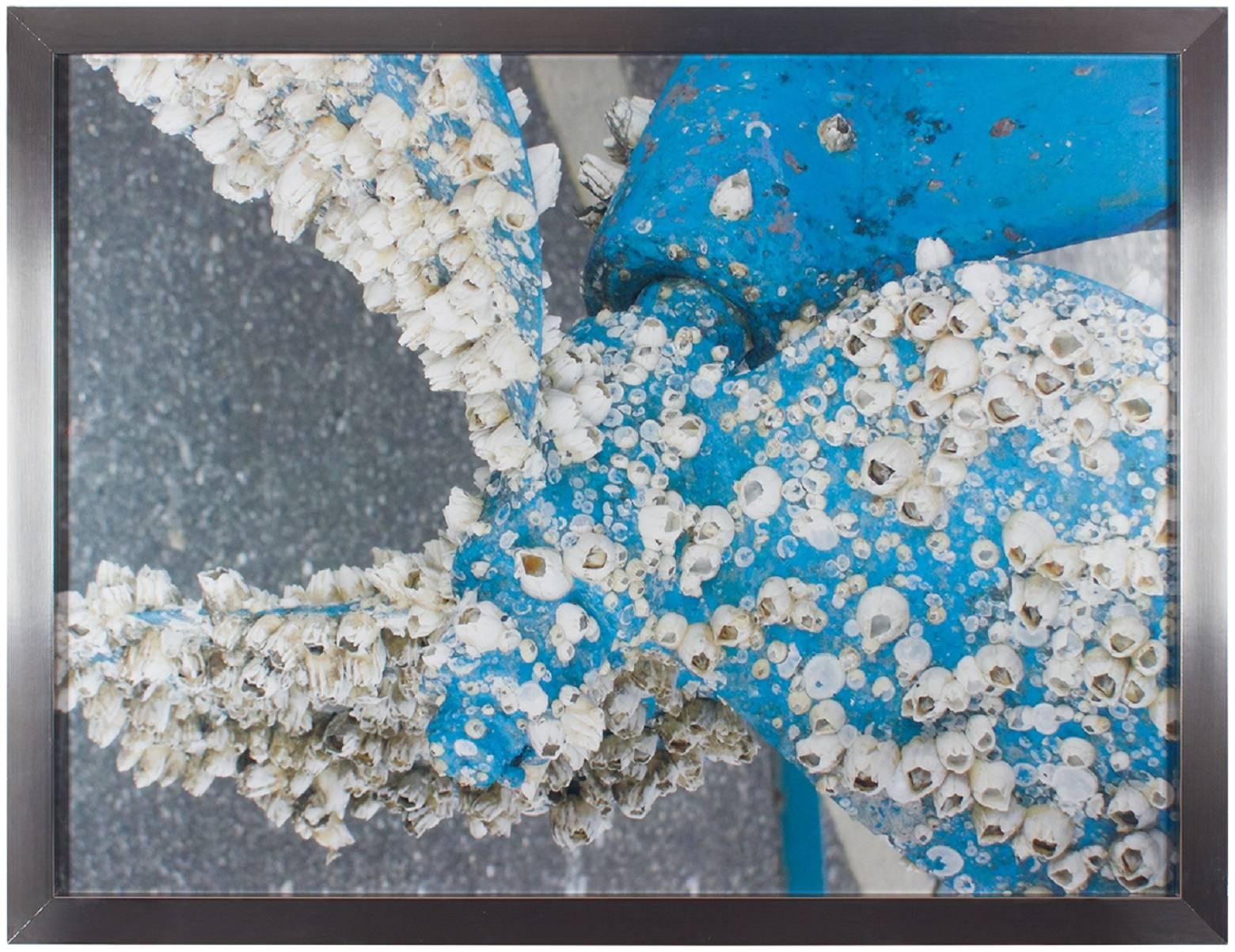 Unknown Color Photograph - Boat Propeller Barnacles, Large Scale Photograph