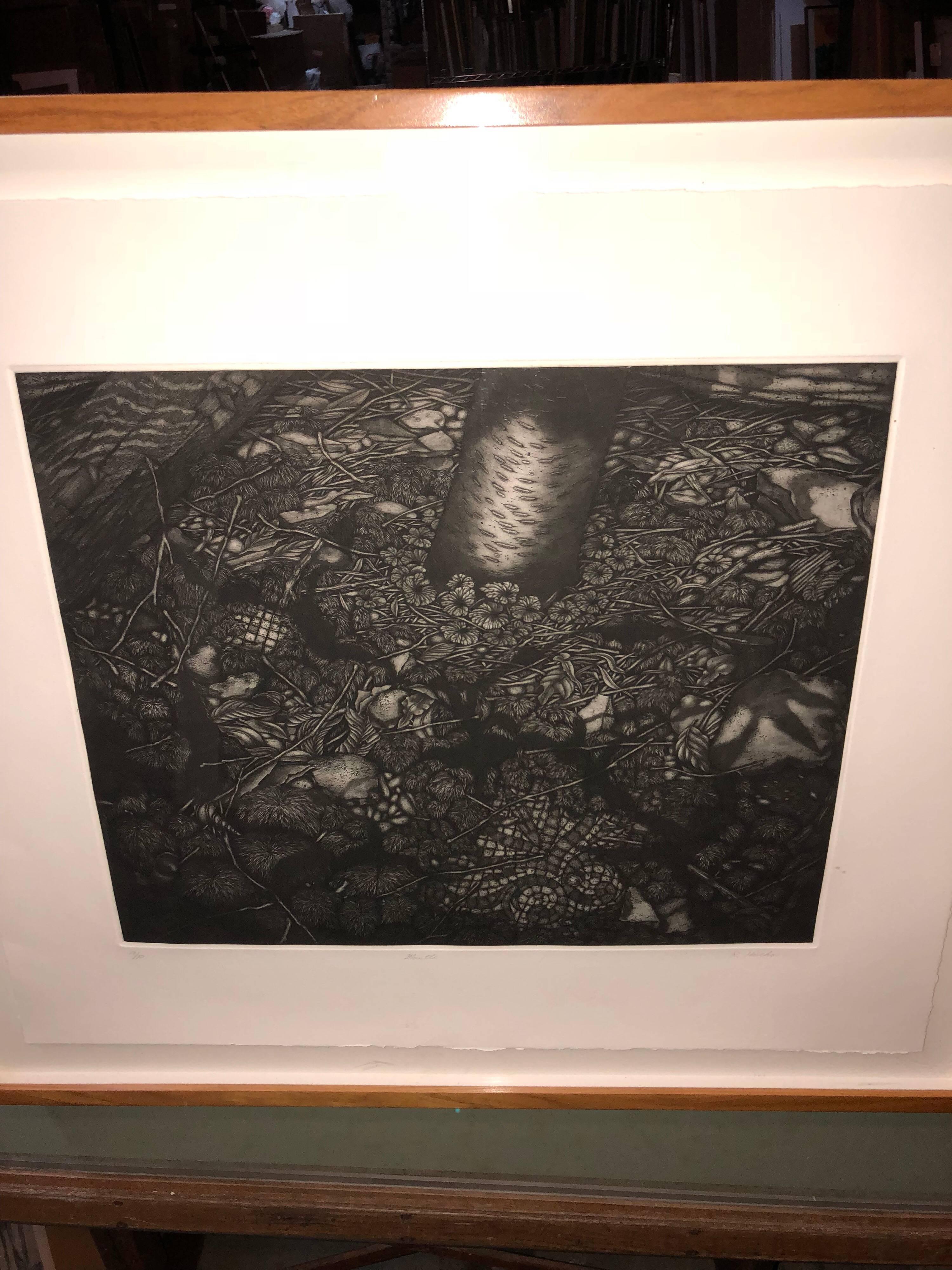 Mezzotint Etching Botanical Print 'Mantle' Signed AP Jungle Image 1