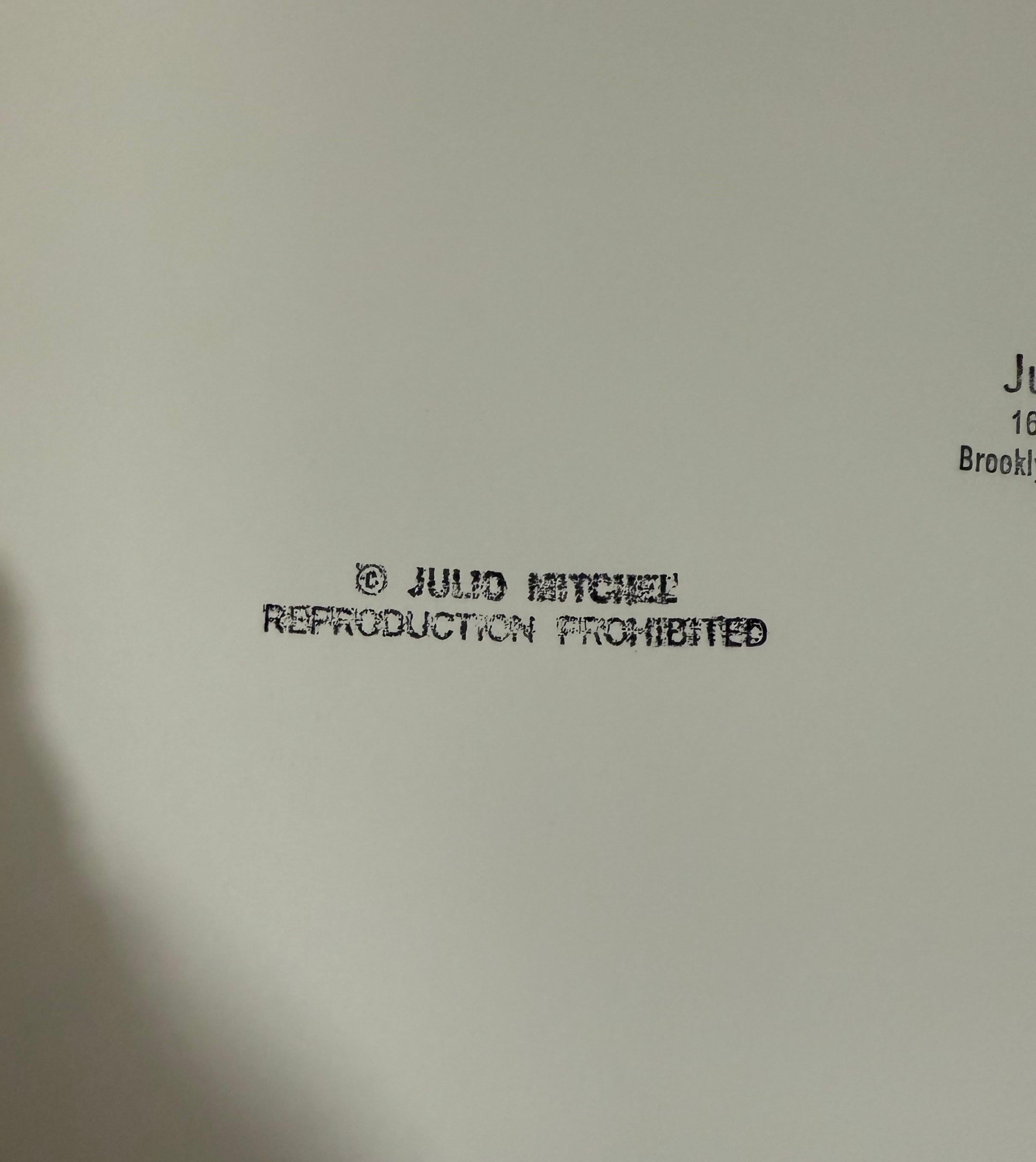 Photographie de la Statue de la Liberté de Julio Mitchel, Cubano-Américain en vente 8